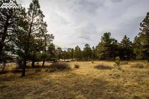 18510 Birdseye Vw, Peyton, CO 80831 photo 1