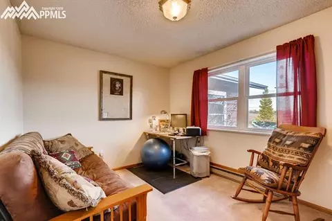 167 Valley View Dr, Divide, CO 80814 photo 8