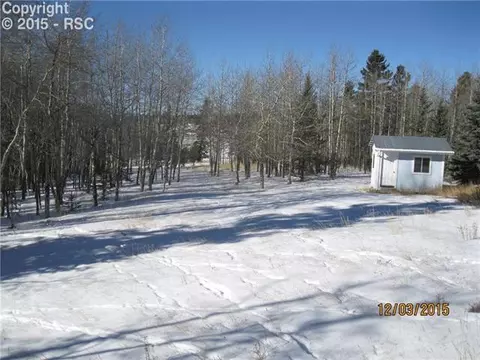503 Dani Pl, Divide, CO 80814 photo 4