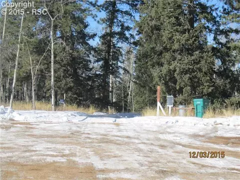 503 Dani Pl, Divide, CO 80814 photo 2