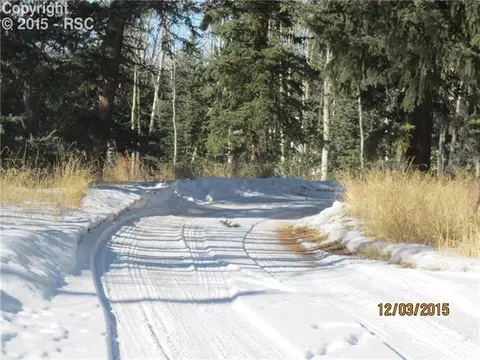 503 Dani Pl, Divide, CO 80814 photo 3