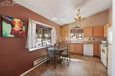 117 Wayward Wind Dr, Divide, CO 80814 photo 17