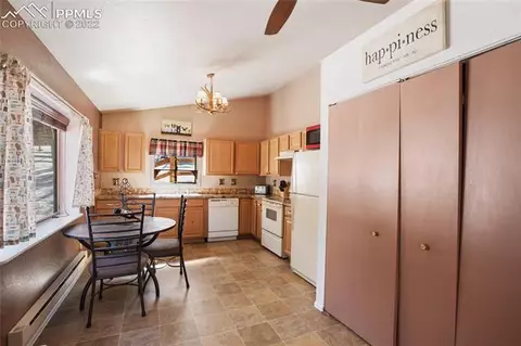 117 Wayward Wind Dr, Divide, CO 80814 photo 16