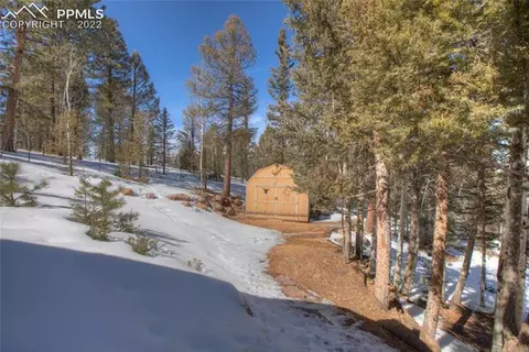 117 Wayward Wind Dr, Divide, CO 80814 photo 7