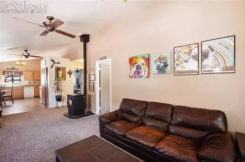 117 Wayward Wind Dr, Divide, CO 80814 photo 11