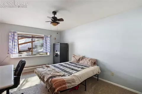 117 Wayward Wind Dr, Divide, CO 80814 photo 24