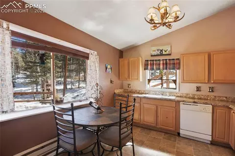 117 Wayward Wind Dr, Divide, CO 80814 photo 19