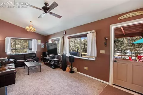 117 Wayward Wind Dr, Divide, CO 80814 photo 10