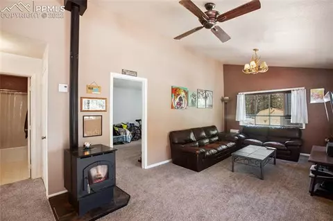 117 Wayward Wind Dr, Divide, CO 80814 photo 14