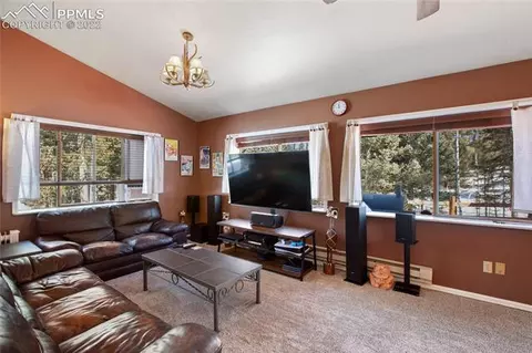 117 Wayward Wind Dr, Divide, CO 80814 photo 13