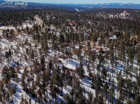 117 Wayward Wind Dr, Divide, CO 80814 photo 29
