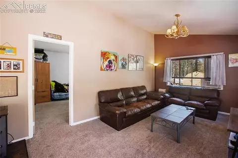 117 Wayward Wind Dr, Divide, CO 80814 photo 21