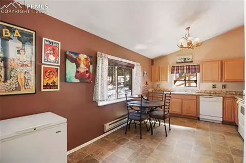 117 Wayward Wind Dr, Divide, CO 80814 photo 15