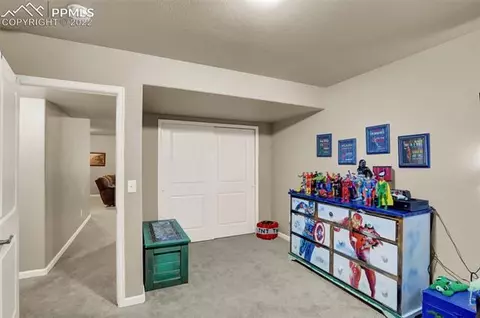 11424 Neutra Grv, Peyton, CO 80831 photo 15