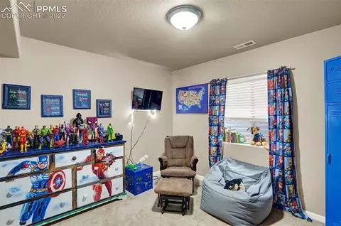 11424 Neutra Grv, Peyton, CO 80831 photo 14