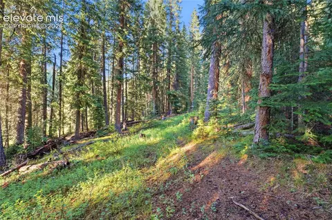 Woods Na, Eagle, CO 81631 photo 3