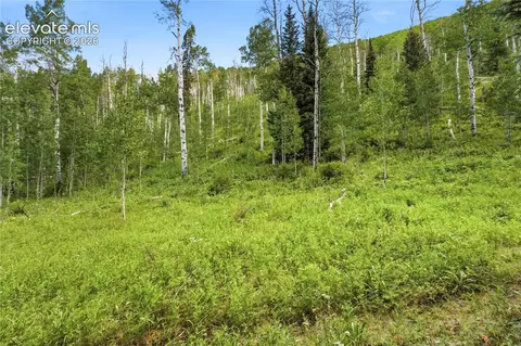 Woods Na, Eagle, CO 81631 photo 23