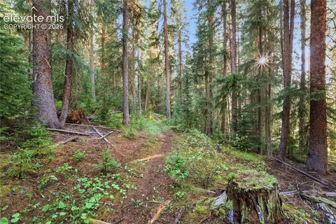 Woods Na, Eagle, CO 81631 photo 2