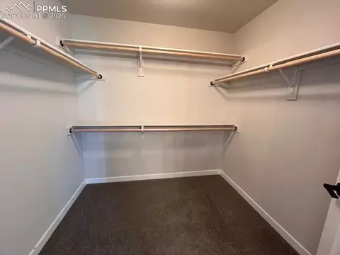 17747 Lemon Rye Loop, Monument, CO 80132 photo 14