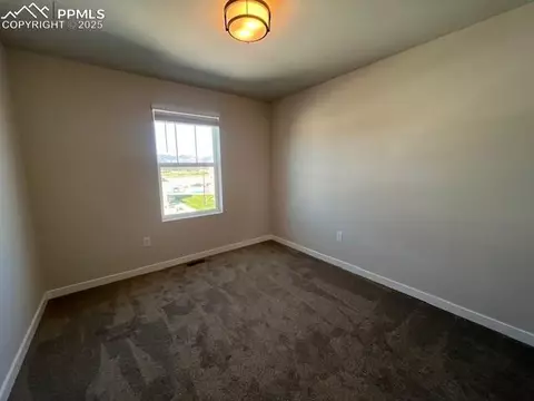 17747 Lemon Rye Loop, Monument, CO 80132 photo 17