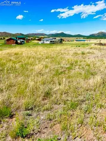 45 Custer Ln, Westcliffe, CO 81252 photo 2