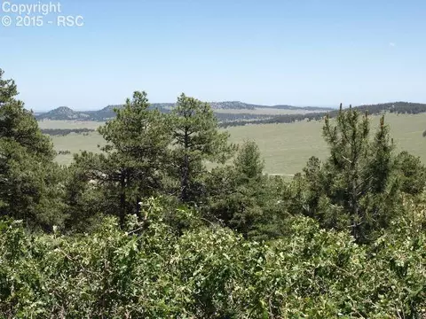 18440 Shady Knoll Ct, Peyton, CO 80831 photo 20