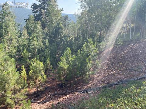 52 Barite Ln, Divide, CO 80814 photo 6