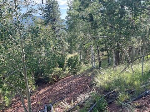 52 Barite Ln, Divide, CO 80814 photo 5
