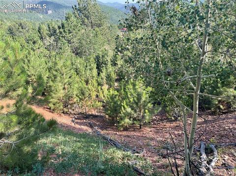 52 Barite Ln, Divide, CO 80814 photo 4