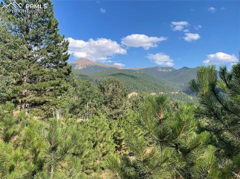 52 Barite Ln, Divide, CO 80814 photo 1