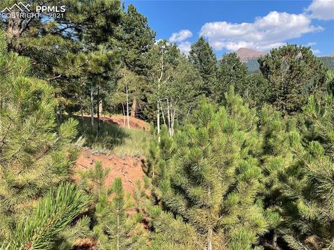 52 Barite Ln, Divide, CO 80814 photo 7