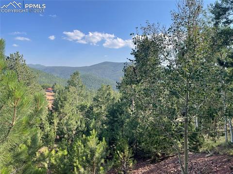 52 Barite Ln, Divide, CO 80814 photo 3