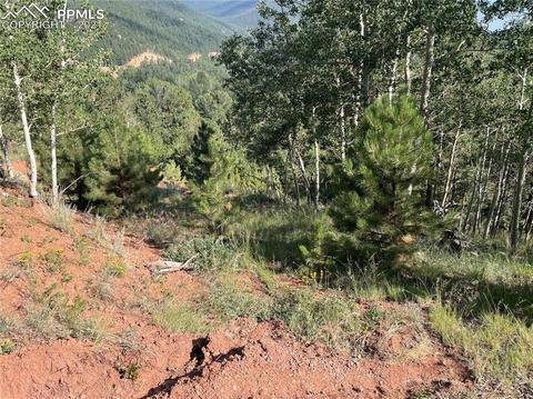 52 Barite Ln, Divide, CO 80814 photo 2
