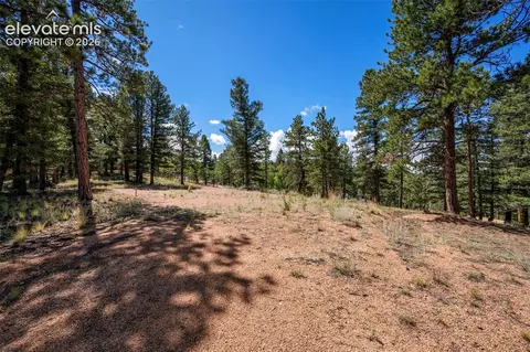 210 Donzi Trl, Florissant, CO 80816