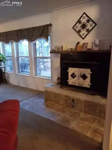 8201 Old San Isabel Rd, Rye, CO 81069 photo 5