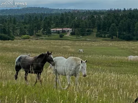 8201 Old San Isabel Rd, Rye, CO 81069 photo 2