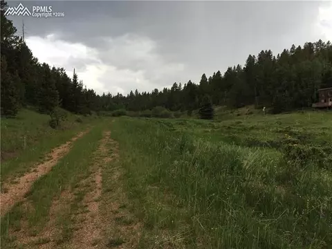1012 Cantiberry Rd, Divide, CO 80814 photo 5