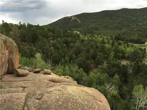 1012 Cantiberry Rd, Divide, CO 80814 photo 3