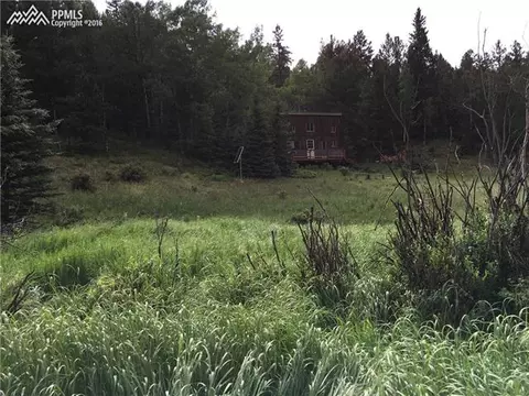 1012 Cantiberry Rd, Divide, CO 80814 photo 2