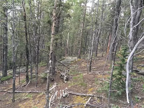 1012 Cantiberry Rd, Divide, CO 80814 photo 8