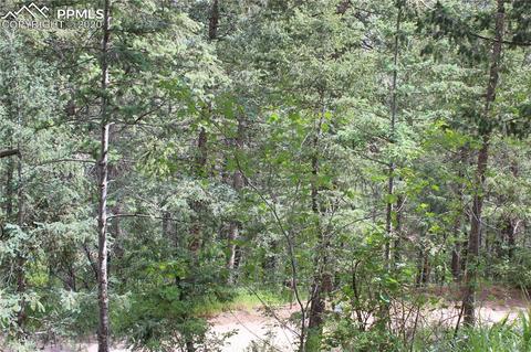9320 Maveta Rd, Cascade, CO 80809 photo 2