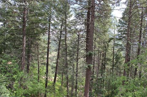 9320 Maveta Rd, Cascade, CO 80809 photo 5