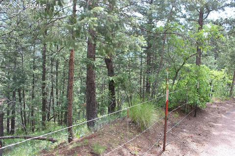 9320 Maveta Rd, Cascade, CO 80809 photo 4