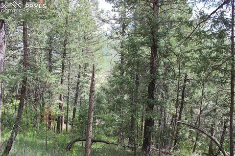9320 Maveta Rd, Cascade, CO 80809 photo 8