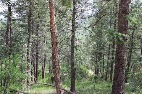 9320 Maveta Rd, Cascade, CO 80809 photo 7