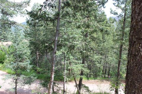 9320 Maveta Rd, Cascade, CO 80809 photo 10