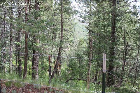 9320 Maveta Rd, Cascade, CO 80809 photo 9