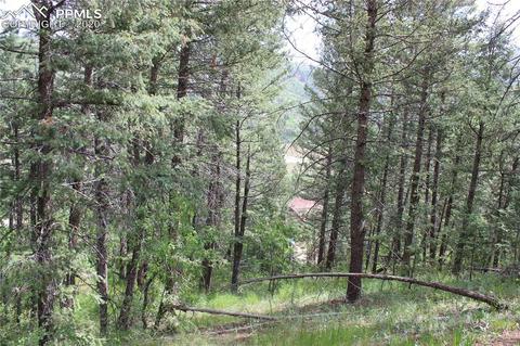9320 Maveta Rd, Cascade, CO 80809 photo 1