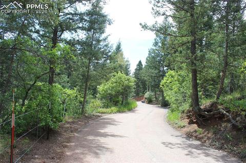 9320 Maveta Rd, Cascade, CO 80809 photo 6