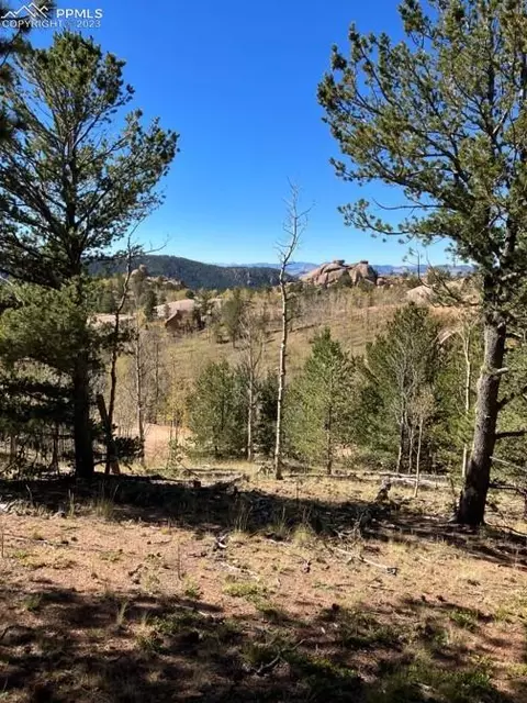 168 Wildhorse Rd, Cripple Creek, CO 80813